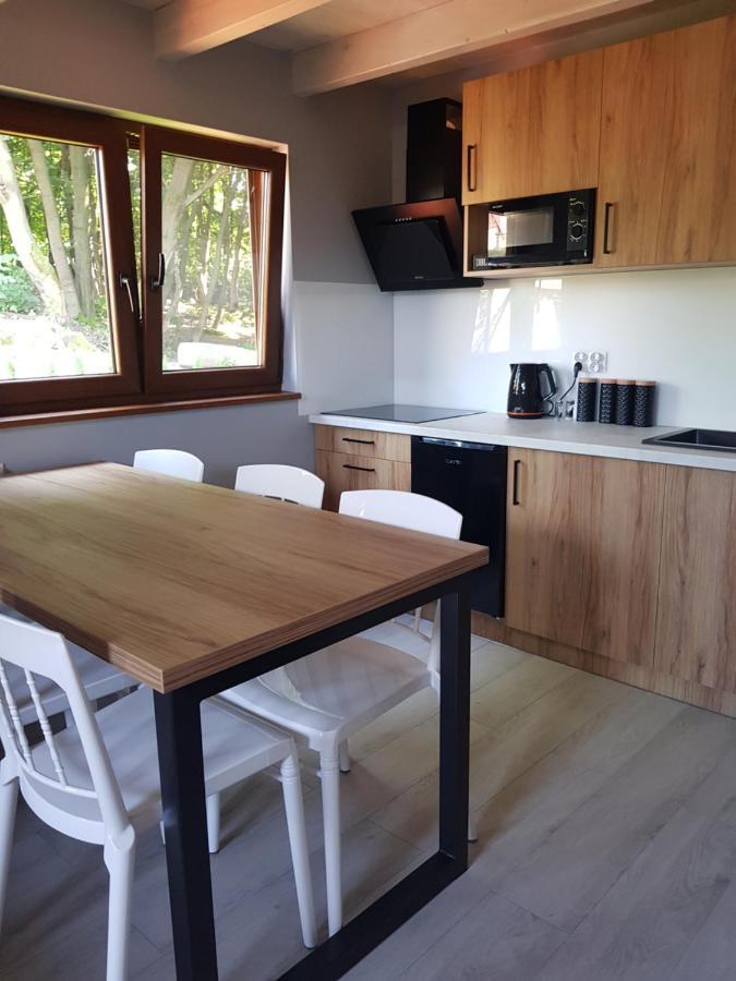 Kameralny Holiday home Przeciszow